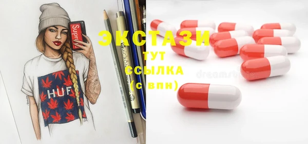 ECSTASY Белокуриха